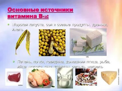Какой продукте есть витамин 12