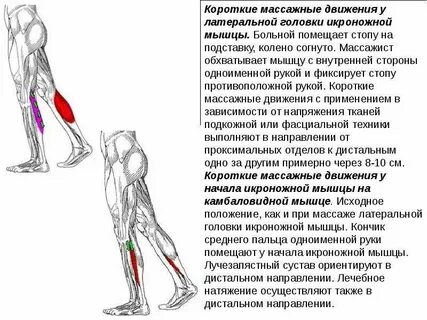 Почему болят и сводит икры