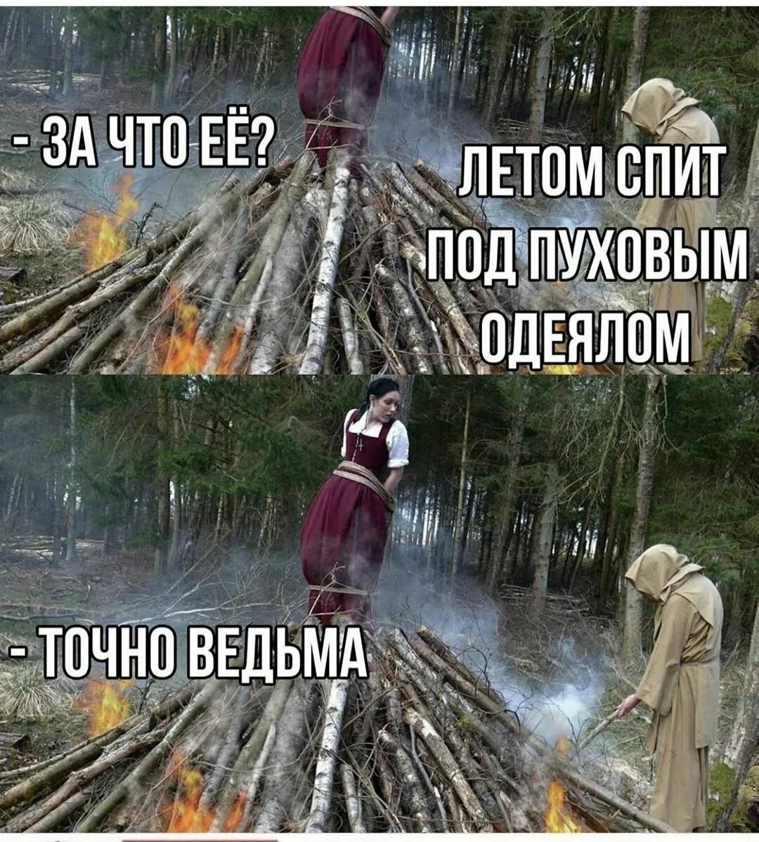 Ведьма прикол. Шутки про ведьм. ведьма цитаты и высказывания. ведьма картинки прикольные.