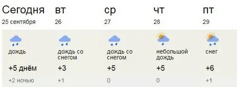 Алиса через сколько будет дождь