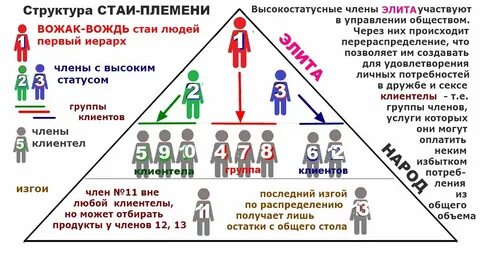 Племя цитаты