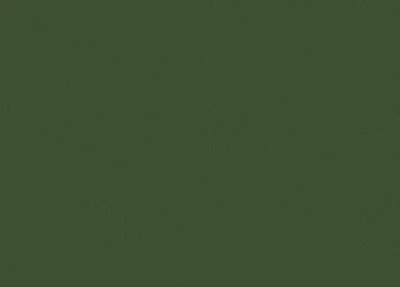 Темно зеленый фон стена (94 фото) " ФОНОВАЯ ГАЛЕРЕЯ КАТЕРИНЫ АСКВИТ