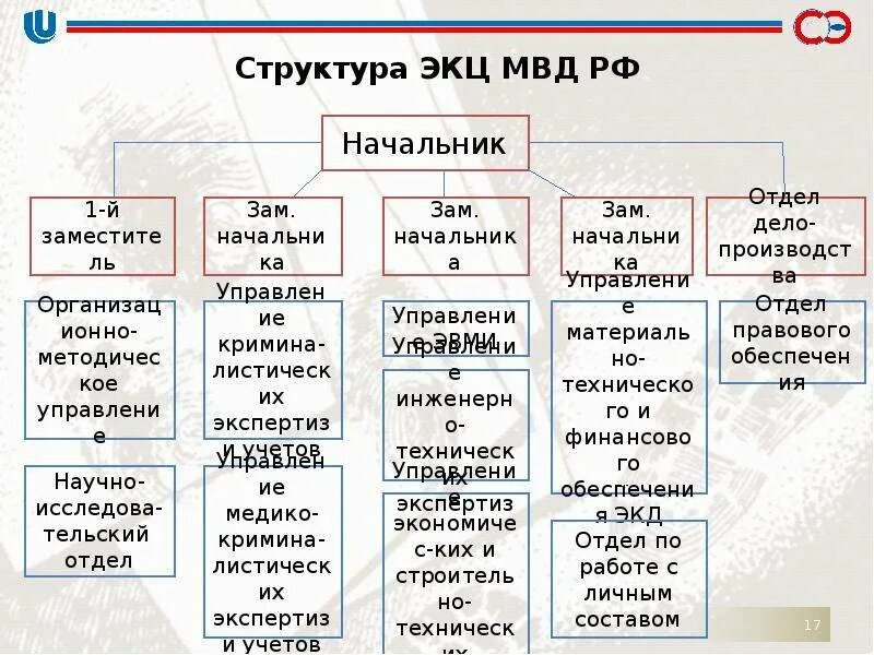 Судебно экспертное учреждение рф. Схема экспертных учреждений Министерства внутренних дел РФ. Судебно-экспертных учреждений МВД РФ. Структура ЭКЦ МВД РФ. Структура экспертных учреждений МВД.