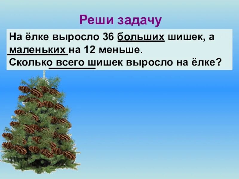Как быстро растет елка. Ель растет. сколько лет растет ель. рост ели в год. рост елки в год.