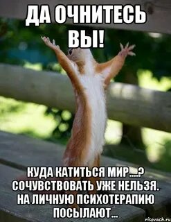 Куда катится мир