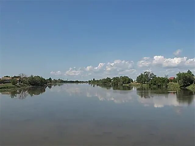 Р березовка