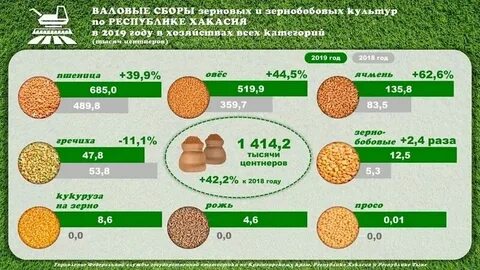 Урожайность зерновых и зернобобовых культур