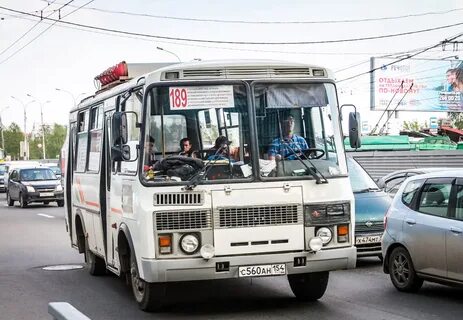 Новосибирская область автобус