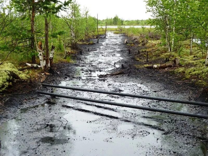 загрязнение почвы нефтью и нефтепродуктами. мероприятия по рекультивации земель. схема рекультивация земель загрязненных нефтью. рекультивация земель загрязненных нефтью и нефтепродуктами. рекультивация земель.