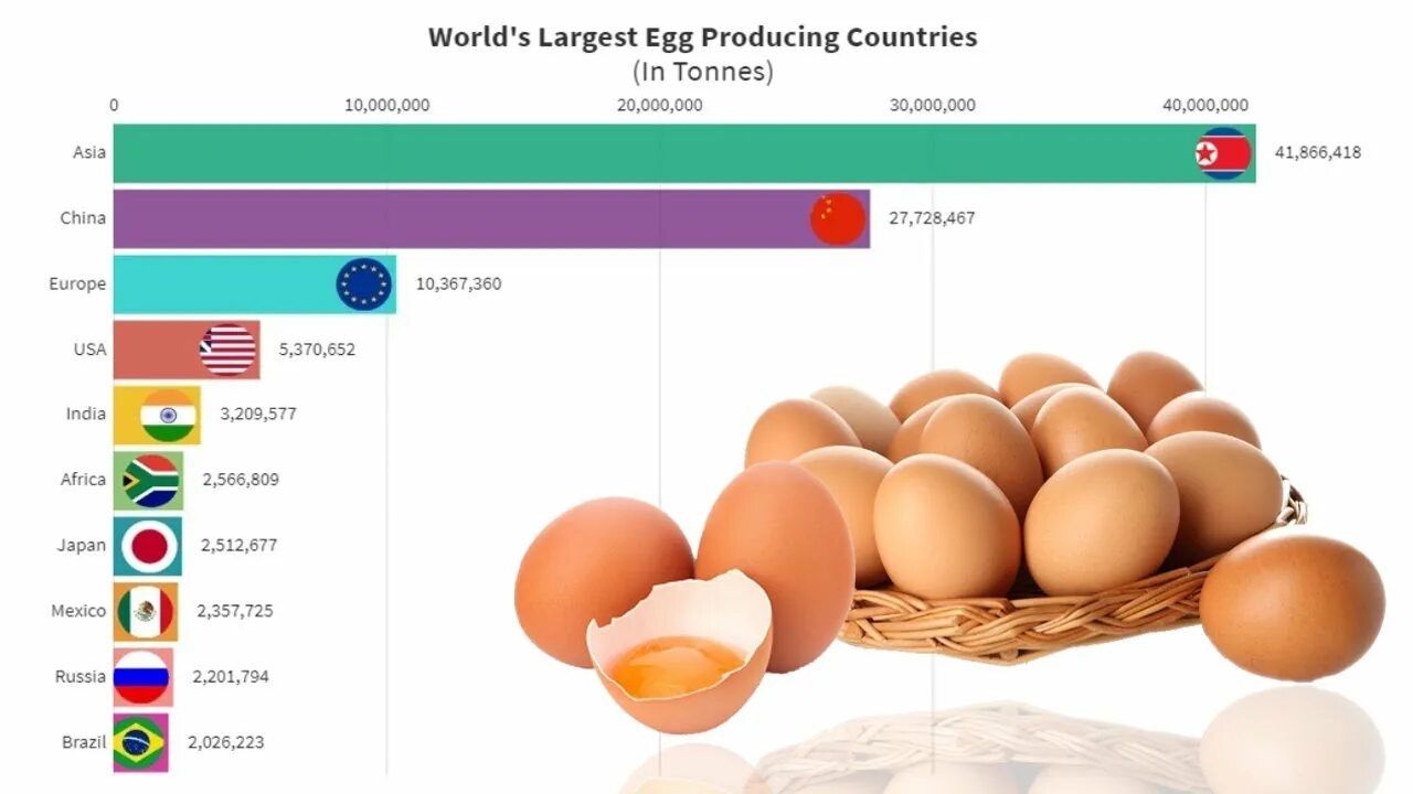 Egg countries. Яйцо на белом фоне. Утиные и гусиные яйца. Домашние куриные яйца. Яйцо белое.