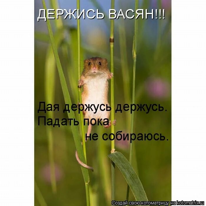 Держу чтобы не упал. Алеша попович и тугарин змей. Держу чтобы не упал. Держу чтобы не упал. Протягивает руку в горах.