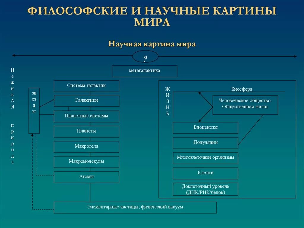 Научно философское общество