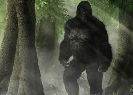 Bigfoot freetp