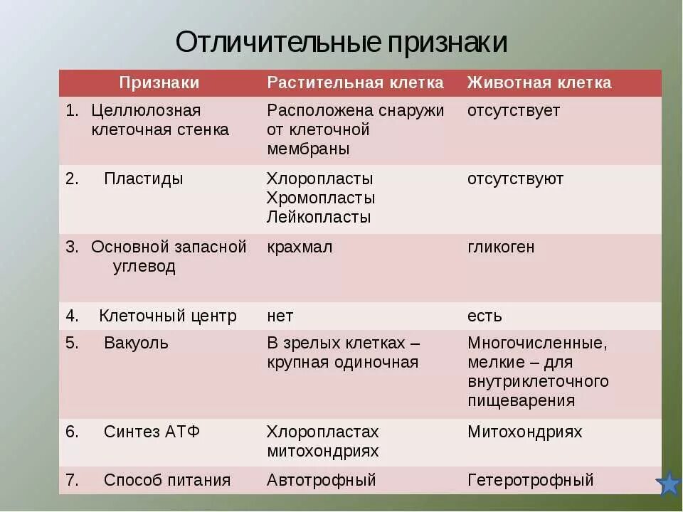 Отличительные признаки растительной клетки от животной клетки. Характерные признаки растительной клетки. Запасной углевод растений и животных клеток. Основной запасной углевод растительной клетки. Назовите основные отличительные