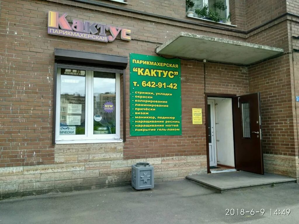 салон кактус. студия кактус оренбург. салон кактус старый оскол требуется сотрудник. салон кактус. салон кактус.