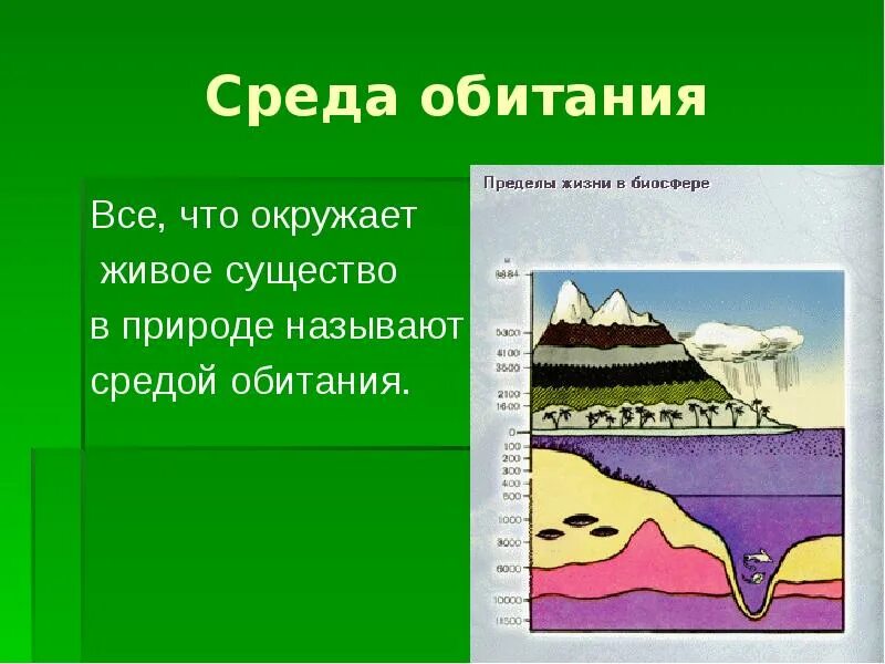 Обитать это