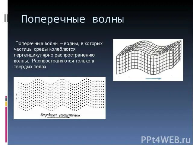 Поперечные волны в твердых телах. Поперечные волны только в твердых телах. Поперечная волна возникает при деформации. Поперечные волны. Световая волна продольная или поперечная.