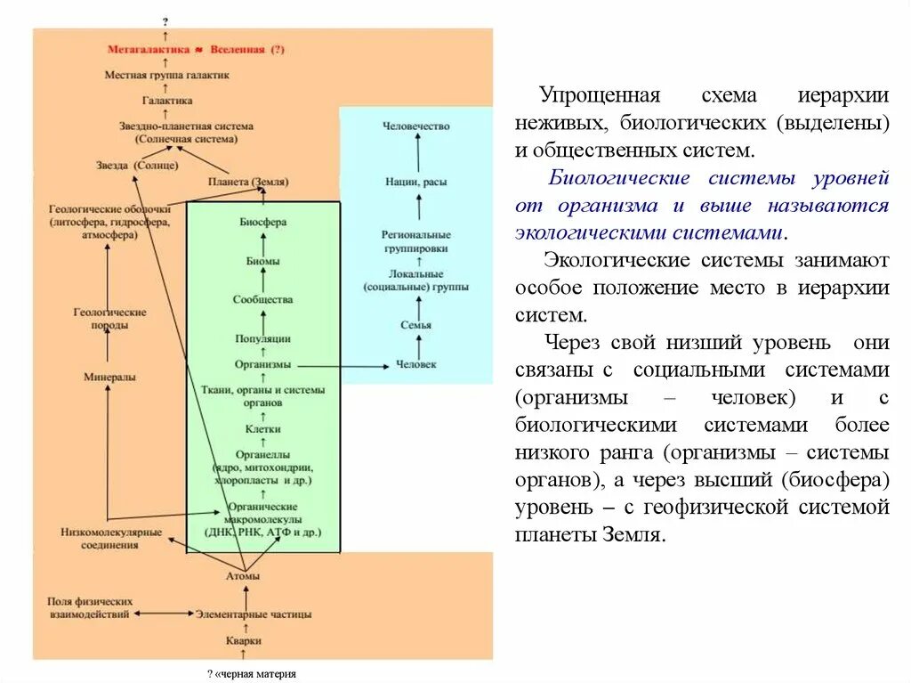 Принципы биологических систем. Основные уровни иерархии биологических систем. Место популяции в иерархии биологических систем. Принципы организации биологических систем иерархичность. Иерархичность биосистем.