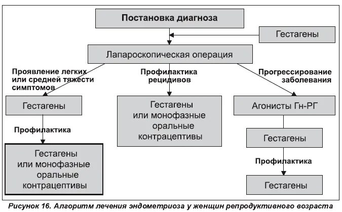 Медикаментозное лечение эндометриоза. Схема терапии эндометриоз. схема лечения эндометриоза. схема лечения эндометриоза у женщин. эндометриоз схема лечения.