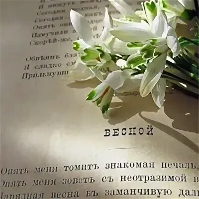 Цитаты про весну из книг. Цитаты про весну. Высказывания о весне. Красивые слова о весне.