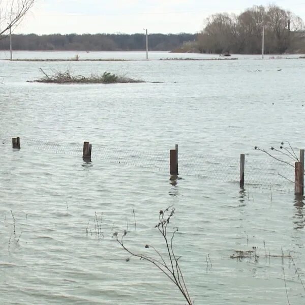 Ока река уровень воды сегодня рязань. Уровень воды в Оке. Вода в Оке Рязань уровень воды. Уровень воды в Оке Рязань. Архив уровня воды в Оке.