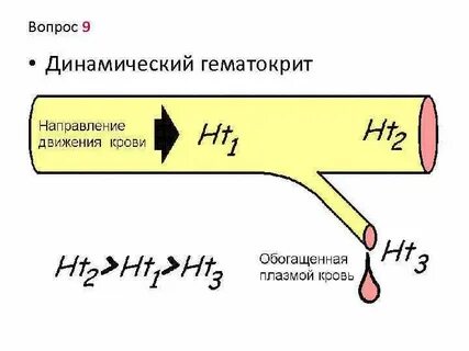 Низкий гематокрит у женщин