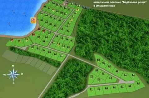 Березовая роща на карте