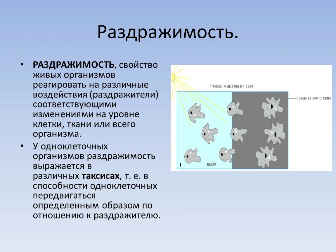 Живой организм обладает свойствами. Раздражимость свойство живых организмов. Раздражимость бактерий. Раздражительность свойство живых организмов. Раздражители живых организмов.