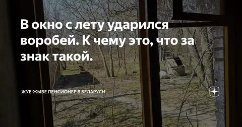 Воробей сел на окно примета