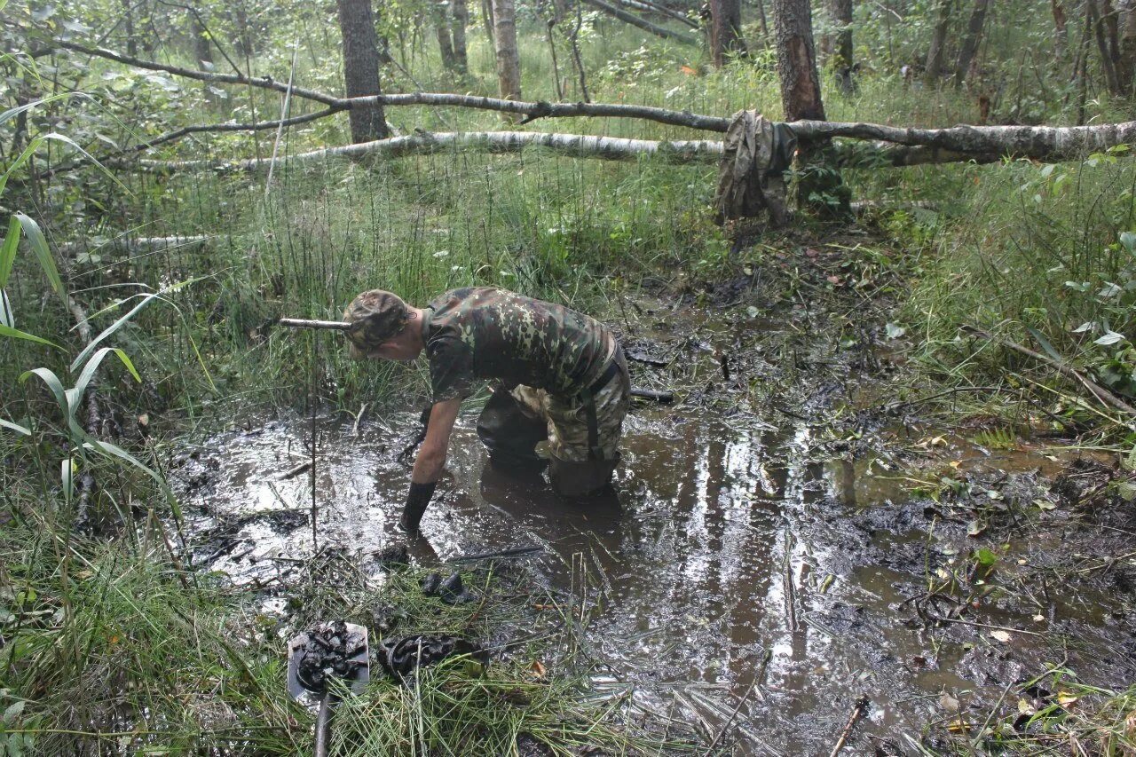 Что может быть в болоте