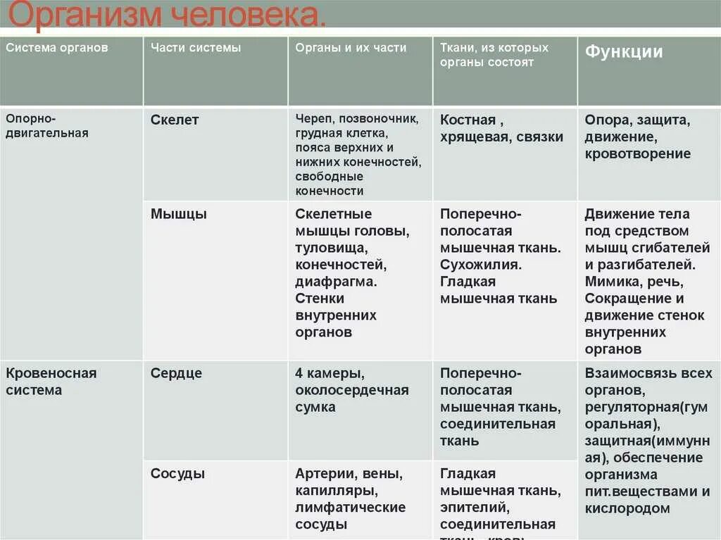МНОГОКЛЕТОЧНЫЕ ЖИВОТНЫЕ Держи удобные таблицы, в которой есть всё 