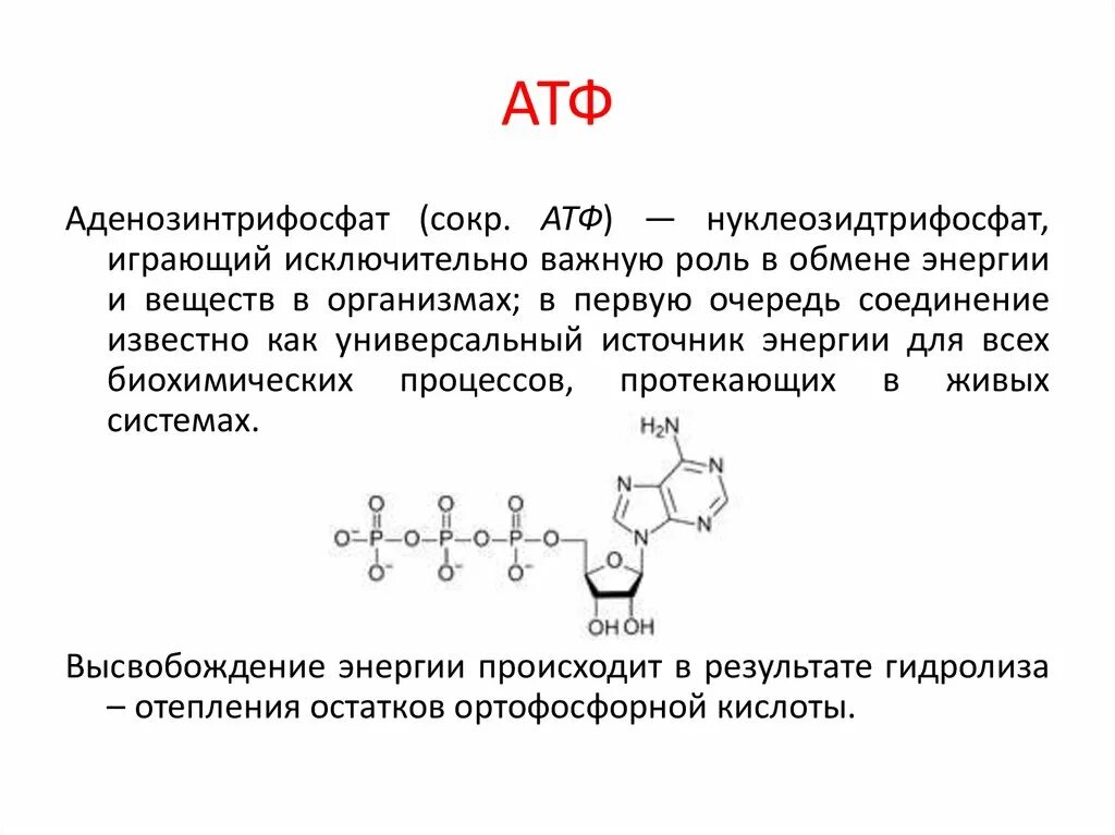 Атф поглощается. Строение АТФ химия. Строение молекулы АТФ. АТФ хим структура.