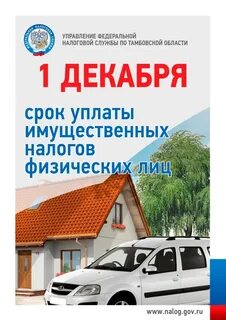 Срок уплаты имущественных налогов юридическим лицом