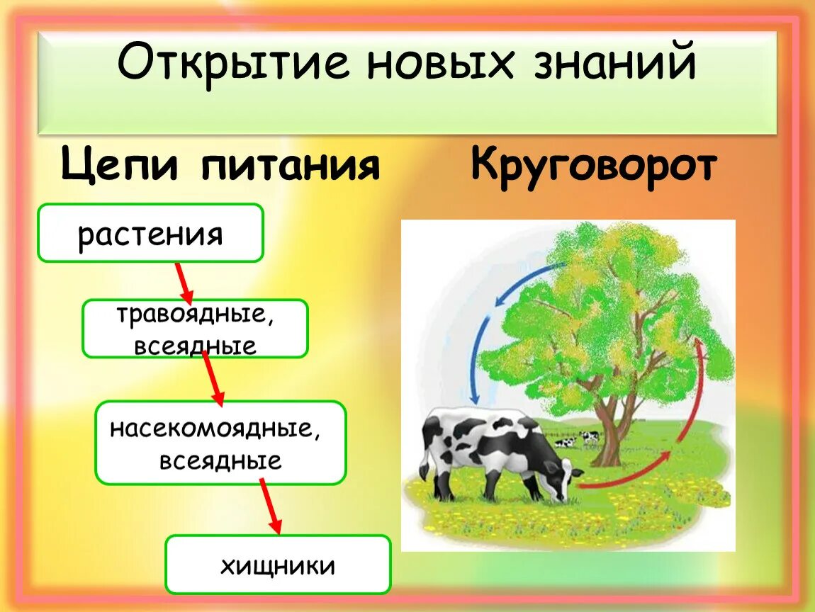 Значение в нашей жизни окружающий мир. Великий круговорот жизни по окружающему миру 3 класс. Цепочка круговорота жизни. Модель Великий круговорот жизни. Круговорот веществ 3 класс окружающий мир.