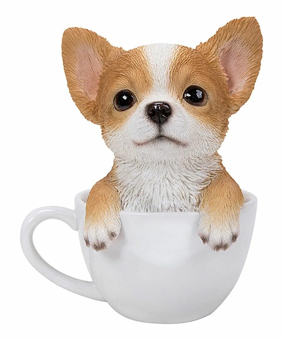 Dogs cup. Чихуахуа Teacup. Чихуахуа в чашке. Собачка в чашке. Статуэтка чихуахуа.