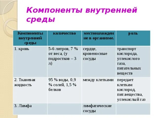 Контрольная работа внутренняя среда