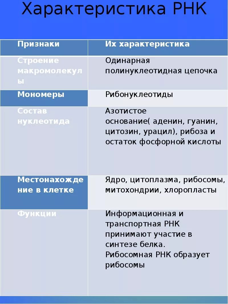 Характеристика РНК. Структура РНК таблица. Характеристика видов РНК таблица. Характеристика видов РНК.