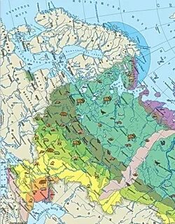 Заштрихуйте природные районы русской равнины