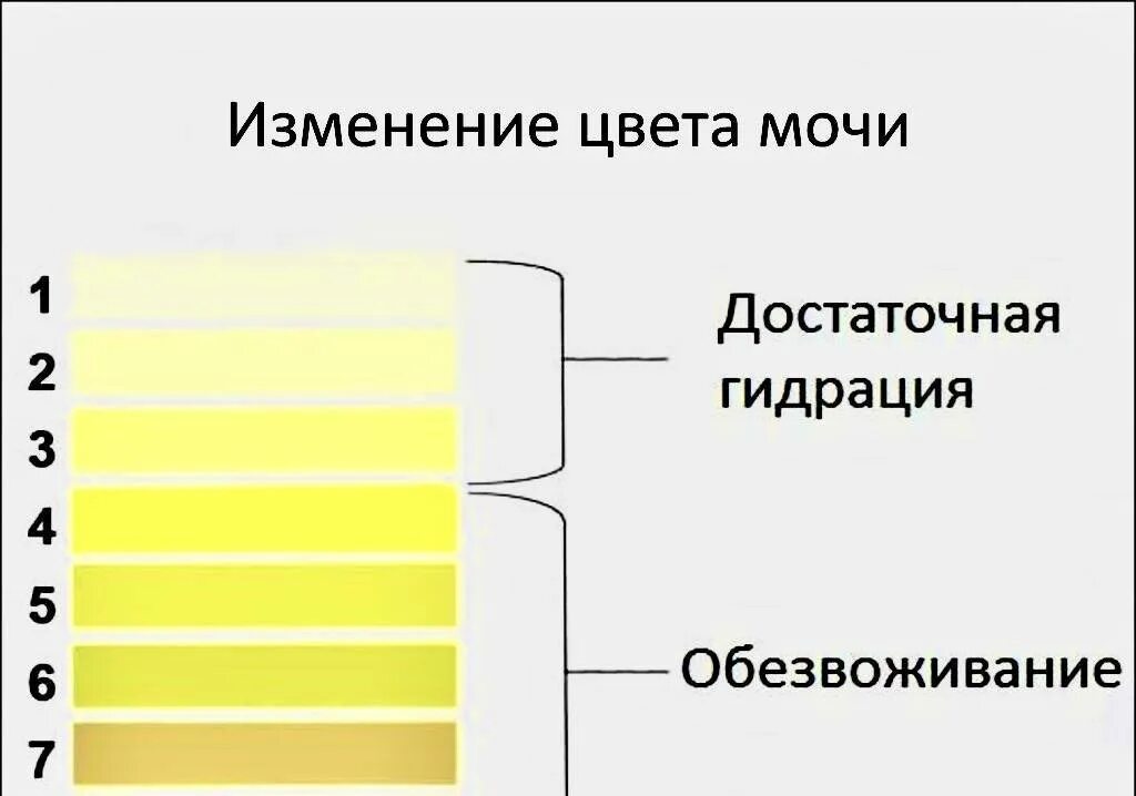 Ярко лимонная моча у женщины причины. Темно желтая моча причины. моча тёмнгжёллого цвета.