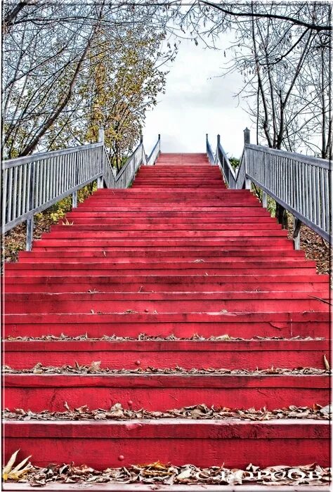 Red step. Коломенское красная лестница. Красные ступеньки. Красная лестница в Москве. Красные лестницы в Коломенском.
