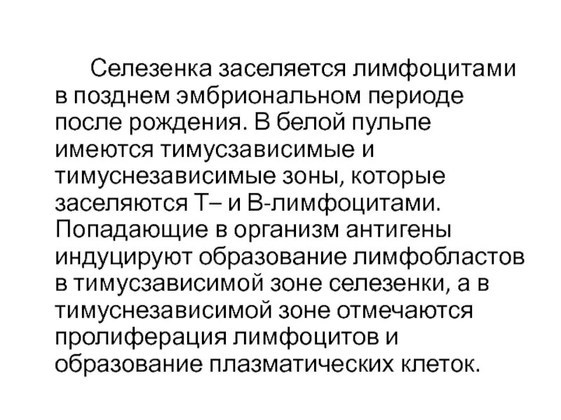 Т зависимые. Тимусзависимые и тимуснезависимые зоны. Тимус зависимыке и тимуснезависимые лимфоциты. Тимуснезависимые антигены. Тимус зависимая зона селезенки.