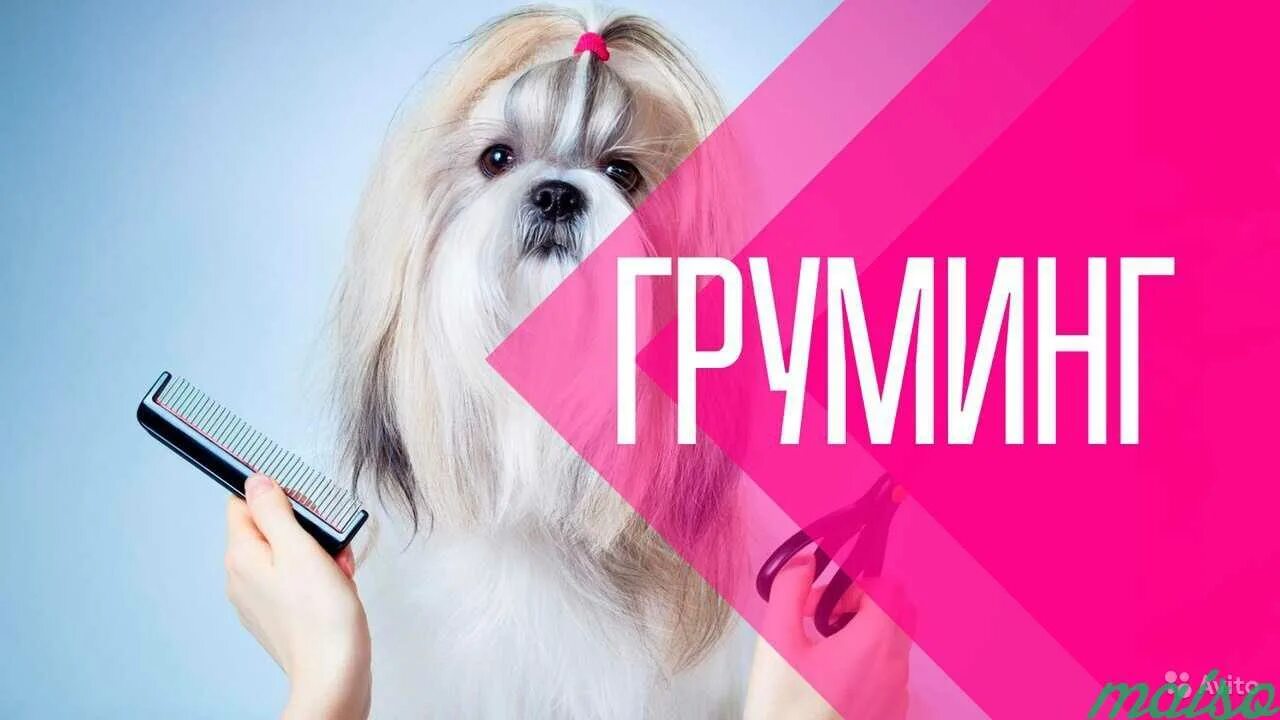 Груминг это простыми словами. Груминг. реклама груминг салона. стрижка собак реклама. стрижка собак визитка.