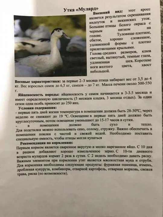 Содержание мулардов