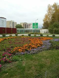 Зеленый мир цветов