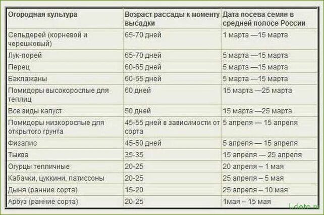 Срок посадки овощей в грунт таблица. Таблица посева рассады в грунт. Таблица посева семян на рассаду в открытый грунт. Возраст рассады для высадки в грунт таблица. В каком возрасте высаживают рассаду помидор