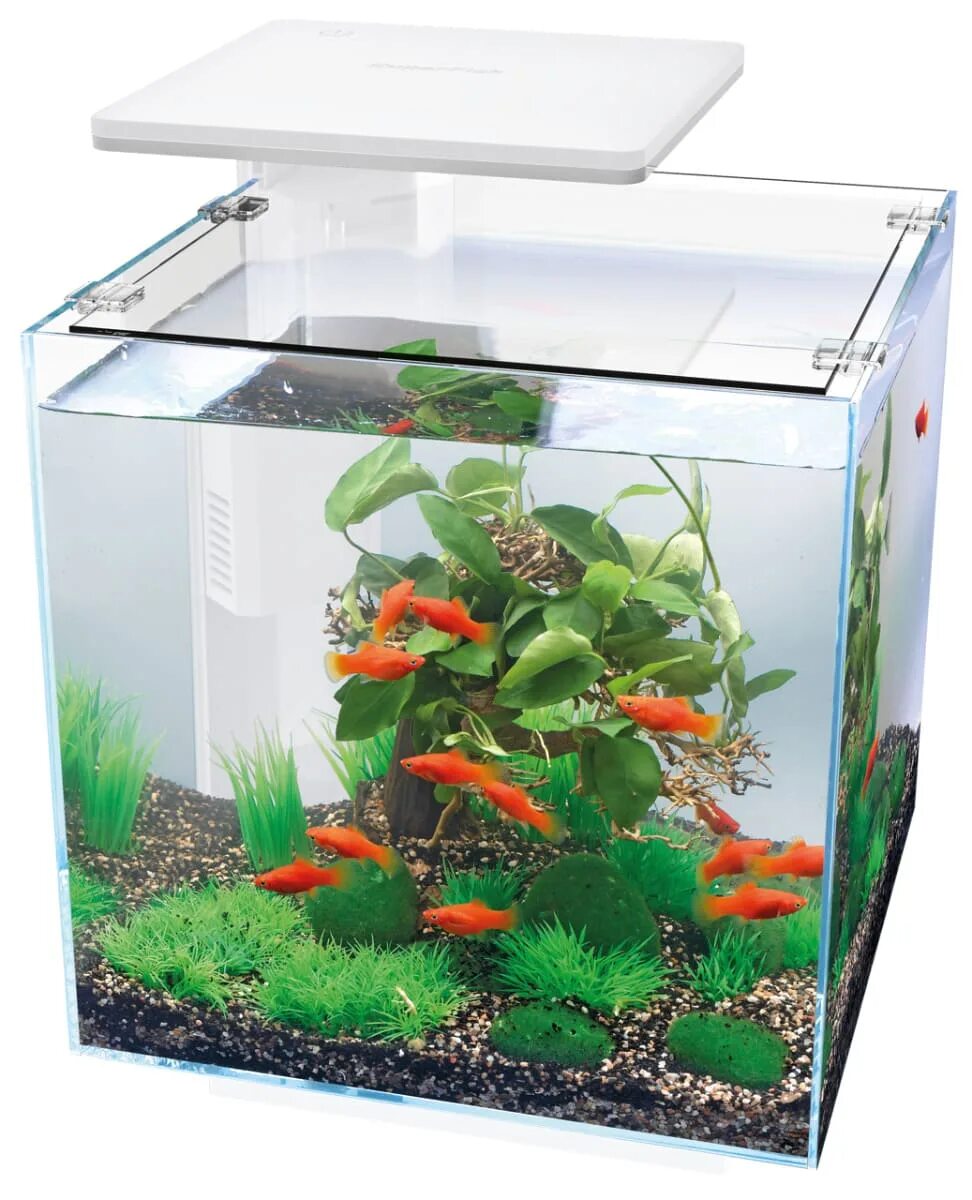 Аквариумы л. Кубик 30л аквариум. Аквариум Hailea 25л. Аквариум 5л (17x17x17). Tetra AQUAART 30l Goldfish АНЦИТРАТ.аквариум.