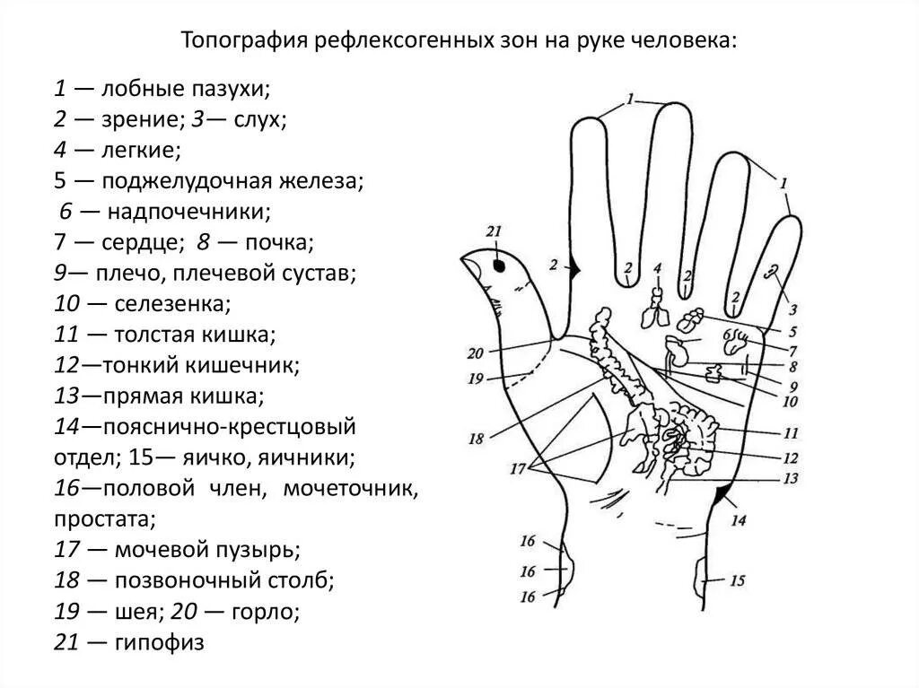 Ниже всех находится точка