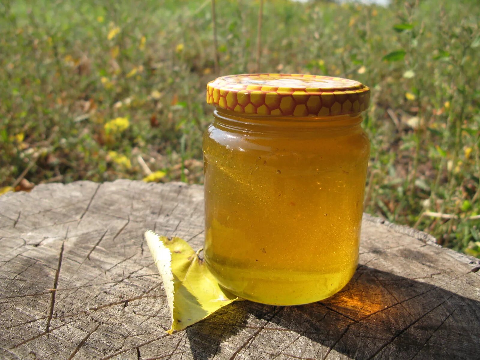 Мед. Баночка для меда. Мёд натуральный. Деревенский мед. Цветочный мед купить