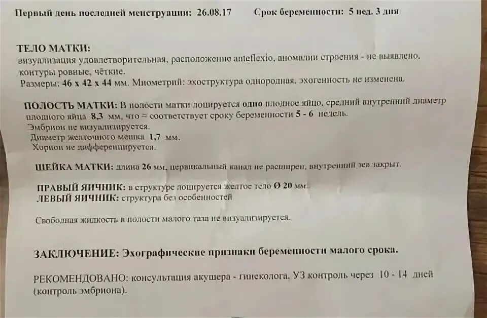 Какое узи делают на раннем сроке беременности. Ультразвуковое исследование беременности на ранних сроках. Ультразвуковое обследование беременности на ранних сроках. Ультразвуковое исследование при беременности раннего срока. УЗИ по беременности на ранних сроках.