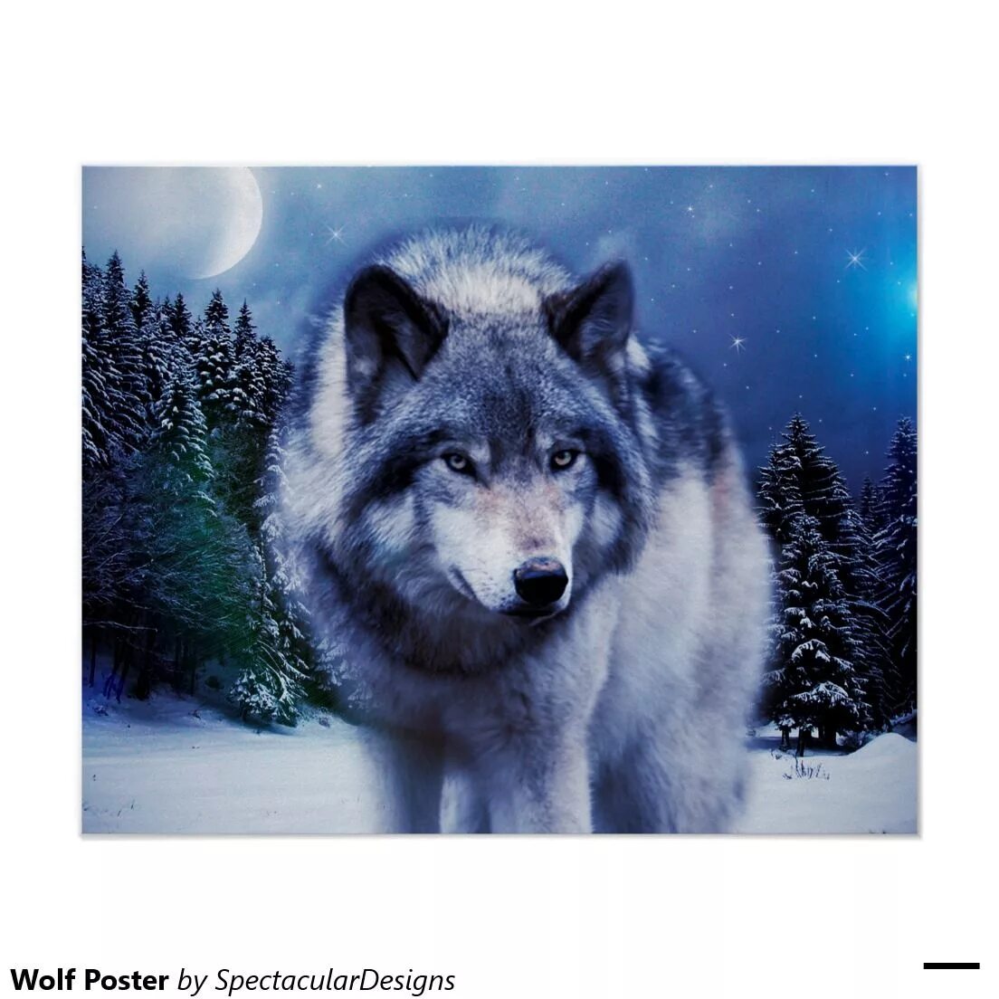 Постер с волком. Постер волки. Плакат с волком. Ауфные волки. Легенда о волках картинки.